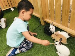 -萌宠亲子动物乐园(槐房万达店)