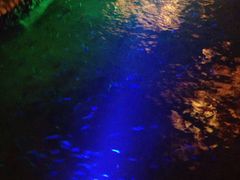 -宝丽金大酒店·洗浴中心