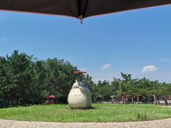-日照海滨国家森林公园