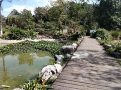 -广西壮族自治区药用植物园