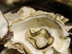 -星伦多自助料理(华润万象城店)