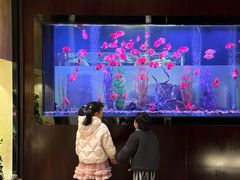 -常州武进九洲喜来登酒店