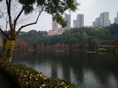 -重庆彩云湖湿地公园