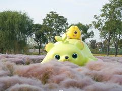 -侎宝运动成长中心(嘉定大融城店)