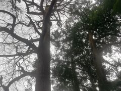 -丹山赤水风景名胜区
