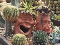 -东芭乐园