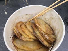 -西双版纳原始森林公园