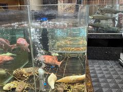 -许家菜(望江店)