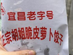 -半月镰胡姐脆皮萝卜饺子