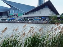 -盐城丹顶鹤湿地生态旅游区