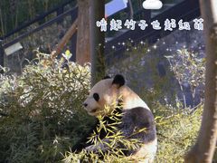 -云南野生动物园