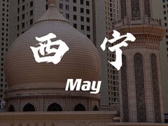 -西宁新千观光夜市(夏都大街店)