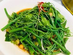 -巴依老爷新疆美食(望京小街店)