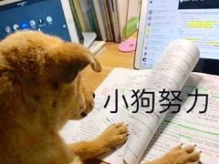 -香港风味小吃店(中英街店)