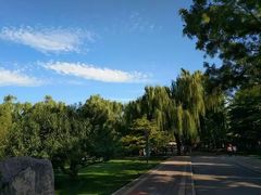 -白鹭湾湿地公园