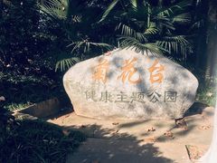 -菊花台公园
