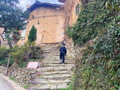 -杨家堂村