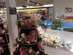 -怀托摩萤火虫洞