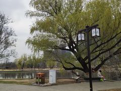 -西海子公园