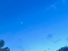-满記土窑烧鷄波浪山莊