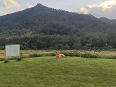 -东钱湖旅游度假区