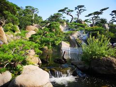 -罗红摄影艺术馆