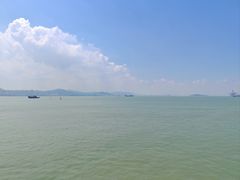 -演武大桥观景平台