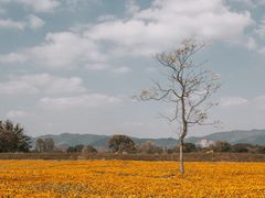 -良渚古城遗址公园