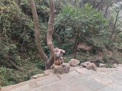 -黔灵山公园