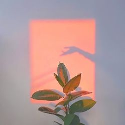 -婳香·女性英式芳疗SPA