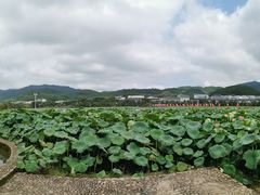 -古田会议纪念馆