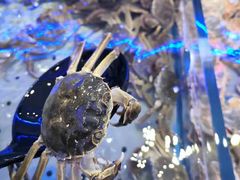 -澜悦港海鲜体验主题餐厅