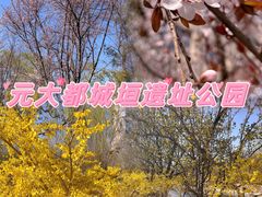 -运动派(北京店)