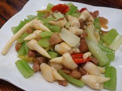 -翔雄农庄