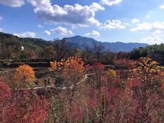 -塔川景区