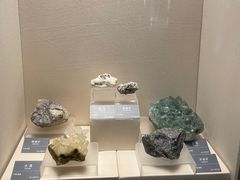 -安徽省地质博物馆