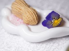 -万豪金殿(香港JW万豪酒店)