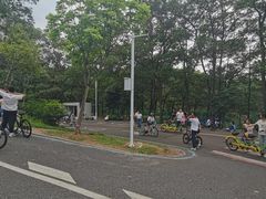 -红花湖景区