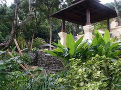 -四季酒店下午茶