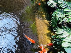 -福禧酒窖·中餐厅 (万柳店)