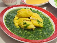 -圆苑(静安寺店)