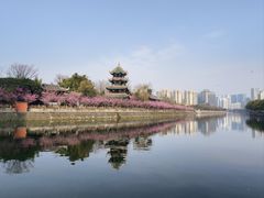 -望江楼公园