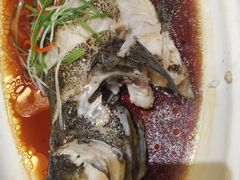 -老绍兴养和饭店(向阳不夜城店)