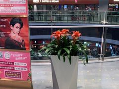 -永旺梦乐城(金银潭店)