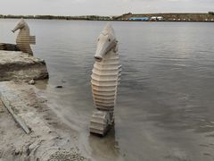-呼兰河口湿地公园