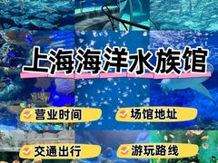 -上海海洋水族馆
