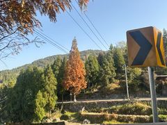 -泽雅景区