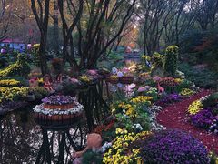 -上海共青森林公园