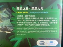 -重庆欢乐海底世界