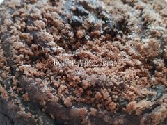 爆浆巧克力-乐姿生活(百盛店)